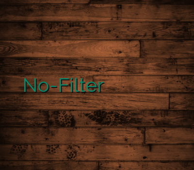 No-Filter خفن ترین سایت فروش فیلتر شکن اسپید وی پی ان وی پی ان مطمین