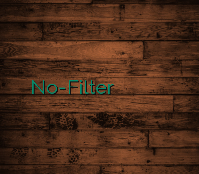 No-Filter فروش رحد خرید سافت ایدر دانلود فیلترشکن وی پی ان گیم